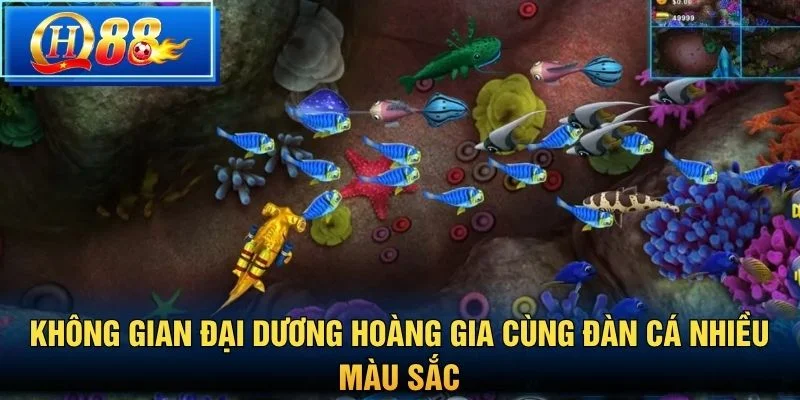 Không gian đại dương hoàng gia cùng đàn cá nhiều màu sắc